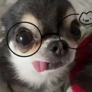 �ڽ�ꎴ��Û]�ţ���Q������������]�K�ݡ��o�a���߳��ݿ���