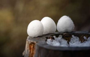 ����+���꣬��՚��ց��ˣ�