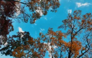 ���S�R�^ȥ����ռ��@�����е������⾰