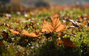 �z���Ĵ�򹫈@��ɫ�ʽ������R�^��������Ʉ�