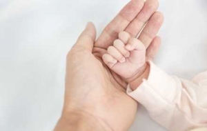 2026������ȫ���������F���޲����X