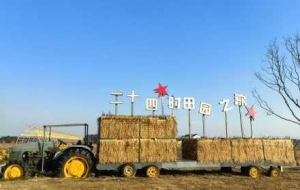 �����l�����д壺һĨ���������ۣ��������ڶ�����