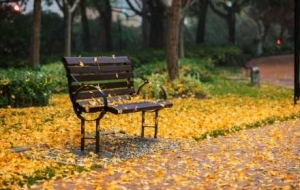 �_�J�ˣ�����Ӱ푽��