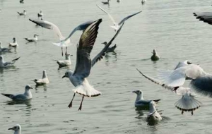 ��Ϧ�ι���t���@�����S��r������w������