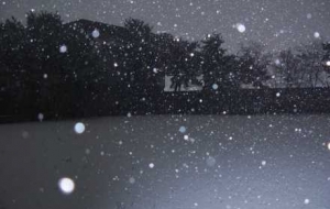 �e�����C��ѩ�죡ƽ����ɫ�����W�W�l��