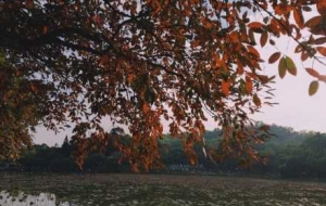 ��һ���t�~֮�s�����ֱMȾ���t�˗��~ů�˶�