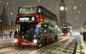 �z�ѷ�������ѩ���wȫ�ǣ�Ψ�мt���S���ۺ�