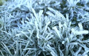 -5�棡�_�J�ˣ�������ͣ�