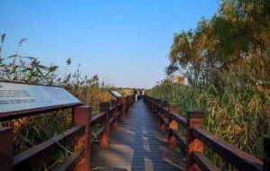 �W���S�ģ��������п�ܣ����x�ҵ����W