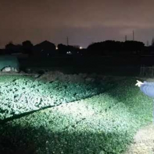 ���ˈ��������ڲˈ�������ץ