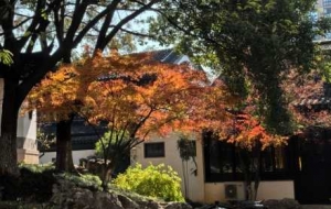 �����µ�һ�Ø䣡�˿̷�ï���A���oĬ���L