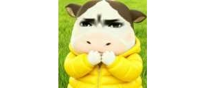 ��q�����޷��Ă���ů�����X����500�K����q��߀�]100����޷�ů��