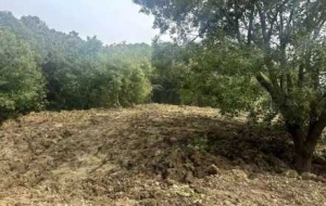 ��ꎣ��ҽ̲��ģ���ĳĳ����������