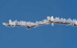 ֱ�_20�棡��Aѩ�S��