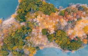 ����ҕ�ǣ����һĨ���������՘��ֽk����˹