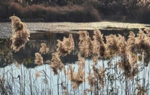 ���쪚�о����JȔ�uҷ���������ڶ���������