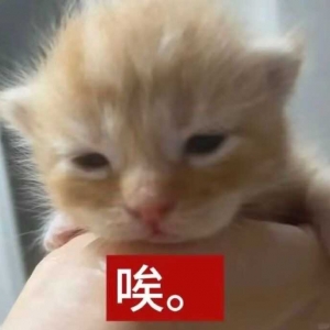 �WУ�żٟo̎��ȥ�������̫����������ȥ�¼����^��