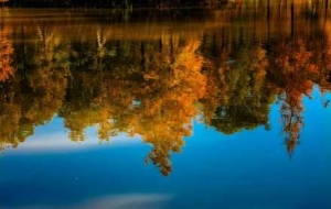 �zӰ�����r�̣�ɽˮ��Ӱ����ĺ�������h����