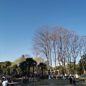 ���շ��S�ģ��L������