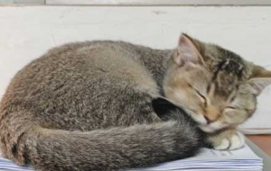 ؈�����Pʺ�ٳɹ�·�������ġ��O�_ʯ��