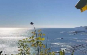 �֙C�K���Ĳ��������|韣������ѿ�������