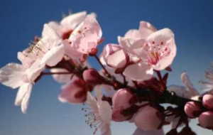 ����������������17�棡