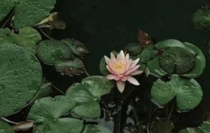 �����S���ģ��L�������R�^��ÿһ���L���������^��