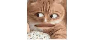 �����ƽ�_��ɶ���o�����@Щ��������ӡ����Ľ��IP