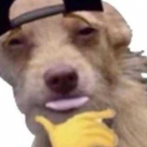 ��Ѫ��ʮ�����ഺ�����m�����У������������������������⣬�����挍�¼���