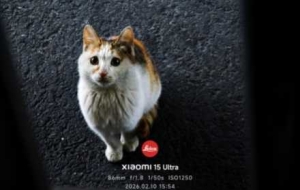 �����֙C�����£��S���S�䲶׽ÿһ��