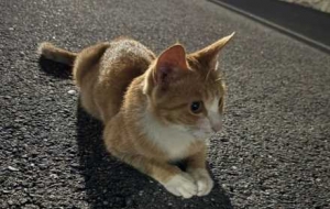 ·���S�C��׽С؈�䣡����ë�]����