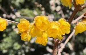 �z����÷������^�p���ѵ����M�@����ǁ�(l��i)