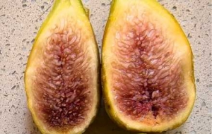 �B(y��ng)��·�ıM�^�ǷN����(sh��)������ҷN�ğo(w��)����������