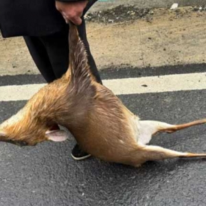 21̖���l24̖�ؼң�����ˢһ�����ϴ��ؾ������^�]�ˣ�ס��߀�ܿ��r