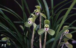 2026�꽭��д��mչ�����_Ļ��