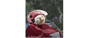 �F�ڵ�����A��ԓ�����С����F�� �� �A������죬�Y��������