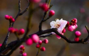 ��?ji��n)�÷�@������@��ز�ס��