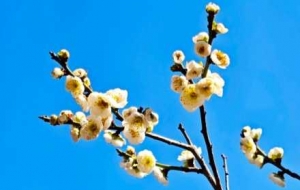 ����÷�@�p����÷���h�㣡��ؓ�������´�