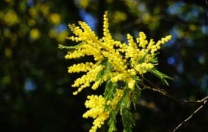 ����u�ˈ�������ģʽ�_��