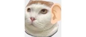 �F�ڳ���߀�������ކ᣿ �f��Ҫȡ����������