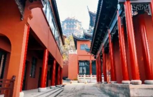 �L�|���ŏR���t��ӳ���䣡�ſ����`���o�k����