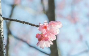 ��ꎡ��p�ѵ؈D���Ͼ�