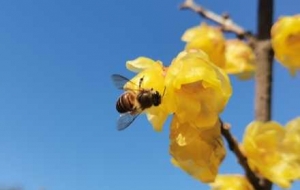 �z����ף��÷�@���������ӭ�́����۷��w�����æ