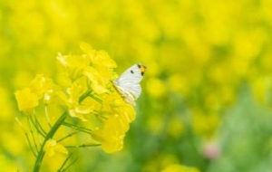 ���l(f��)������Ͳ˻�����ȥ