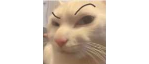 �ӵ��ԷQ���ٹ����ˆT��늣�Ҫ�ҬF���a���M��Ϣ�����܇�@ô�࣬����������ӛ���F����