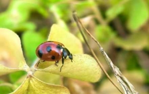 �z�ѷ����������գ����_���ã��ך��x�Ѵ����W�Mȡ����