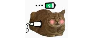 �����A��늃r�����@ô����ԓ����ˣ�230�Ș˜�̫�ͣ�ȥ����늶��õ���ߙn