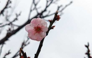 ����p÷�����r����һ���s�������㸡�Ӵ����