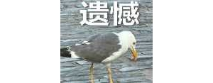 ��ꎳǖ|���X��������ȱһ����ӵ�������Ȧ