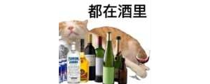 С����ơ����˯���죬�׾���˯һ�죬����߀�^�����^�ۡ������ӡ������l�t�l�W